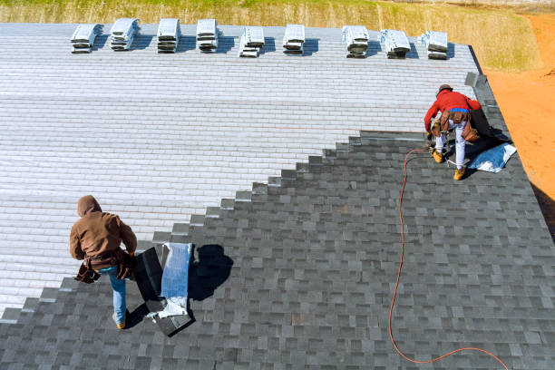 Best Roof Gutter Cleaning  in Mcallen, TX