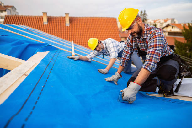 Best Storm Damage Roof Repair  in Mcallen, TX